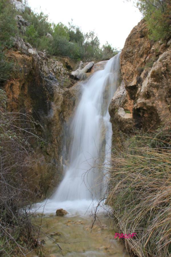 Alojamiento Aguasblanquillas Coto Rios Exterior foto