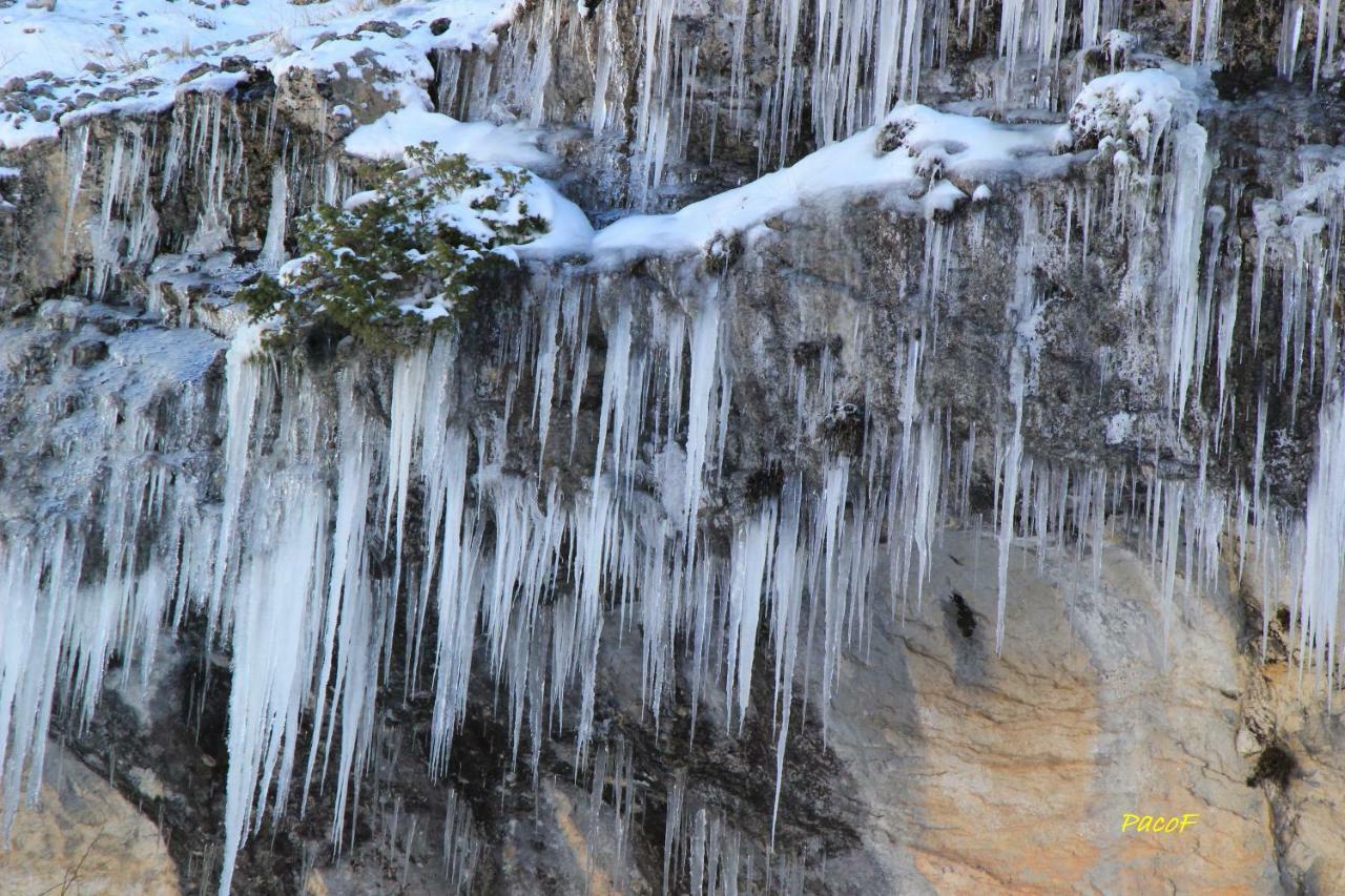 Alojamiento Aguasblanquillas Coto Rios Exterior foto