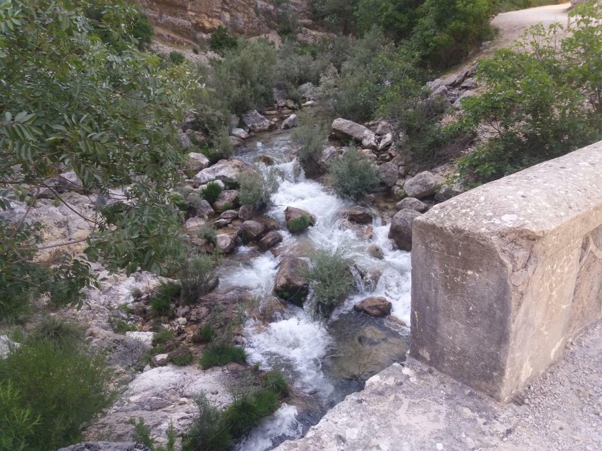 Alojamiento Aguasblanquillas Coto Rios Exterior foto